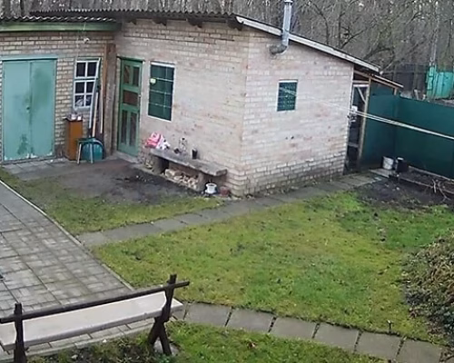 Камера видеонаблюдения на заднем дворе