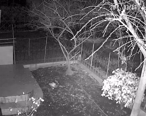 Видеонаблюдение в ночное время